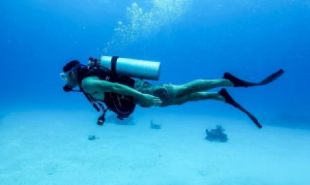 Diving melatih kelenturan otot (Wikipedia)